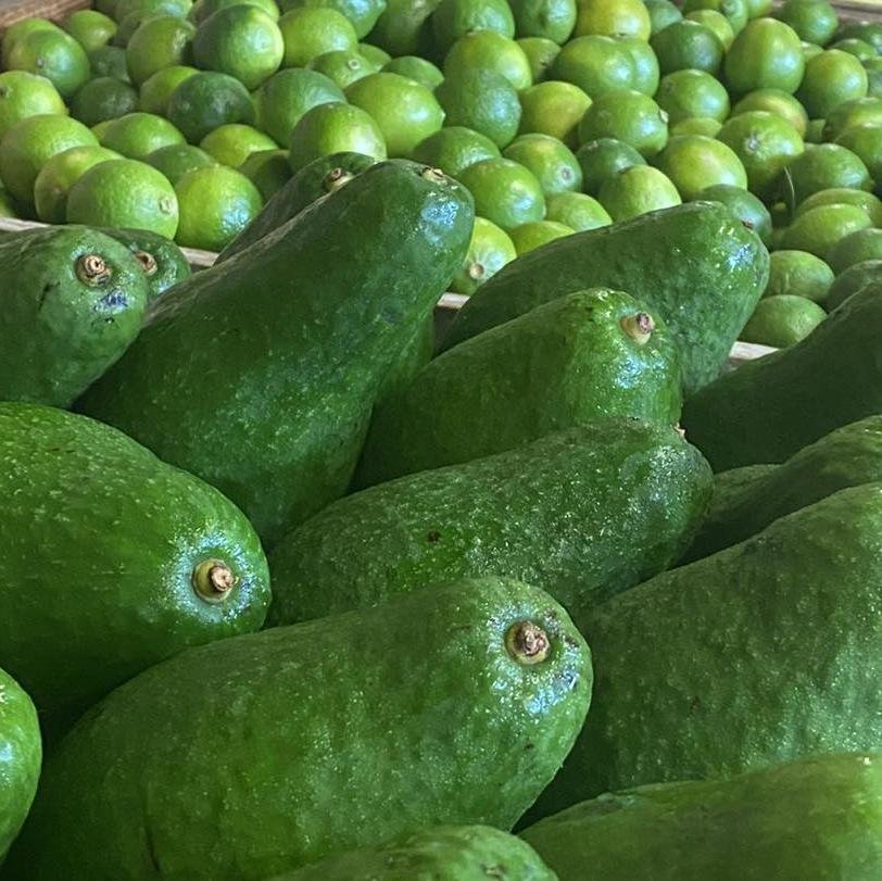 Bebidas y postres - Aguacates